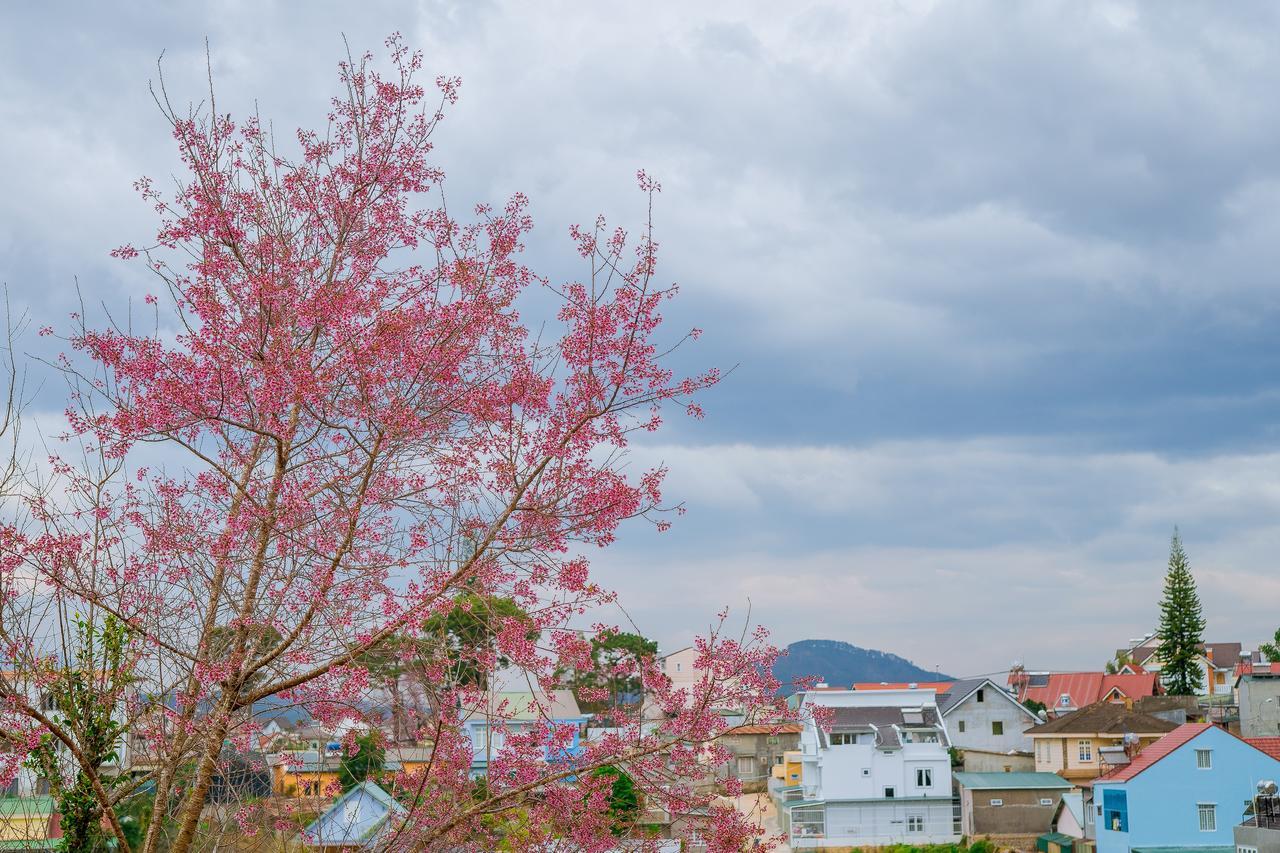 Ruby House Apartment Da Lat Exterior photo